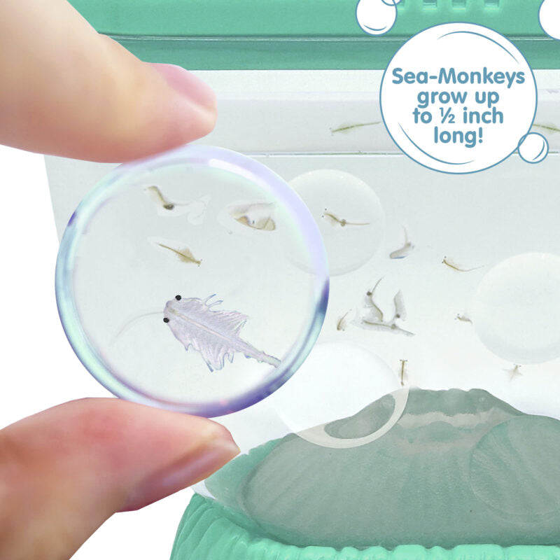 Sea-Monkeys Ocean Volcano - US 6144