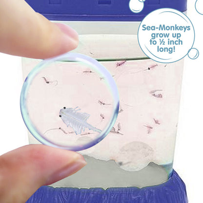 Sea-Monkeys Magiquarium - US 6746